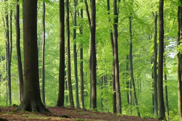 Fotograficy uchwycili najpiękniejsze poranki nad Złocieńcem – projekt „Natura nasze bogactwo” trafił do albumów