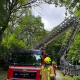 Zwisający konar nad drogą Cieminko-Gawroniec – interwencja strażaków