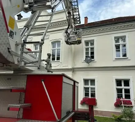 OSP Złocieniec usuwała gniazdo owadów i złamane konary w Darskowie i Starym Worowie