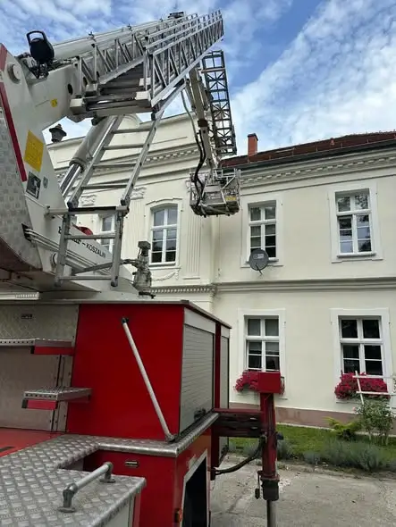 OSP Złocieniec usuwała gniazdo owadów i złamane konary w Darskowie i Starym Worowie