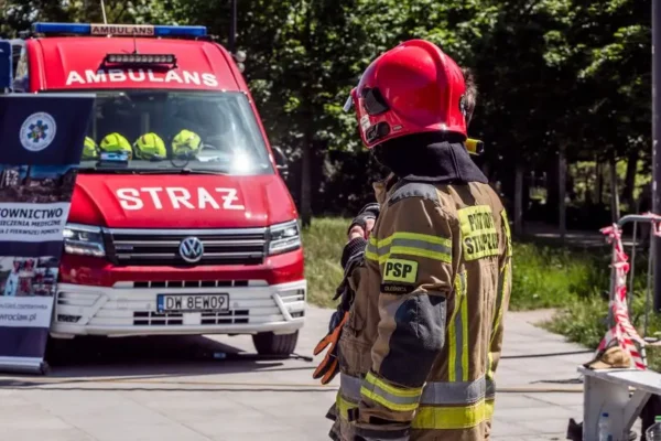 Interwencje OSP Złocieniec: zwarcie na linii energetycznej i gniazdo os na cmentarzu