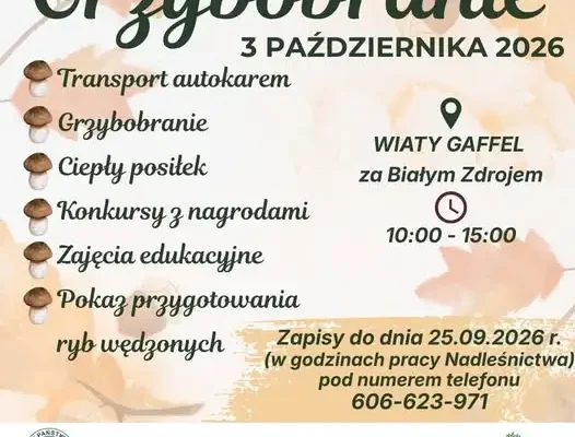 Grzybobranie 2026 w Nadleśnictwie Kalisz Pomorski – zapisy do 25 września