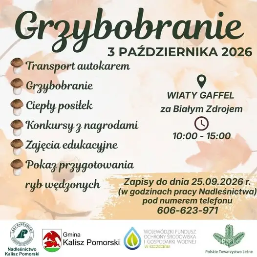 Grzybobranie 2026 w Nadleśnictwie Kalisz Pomorski – zapisy do 25 września